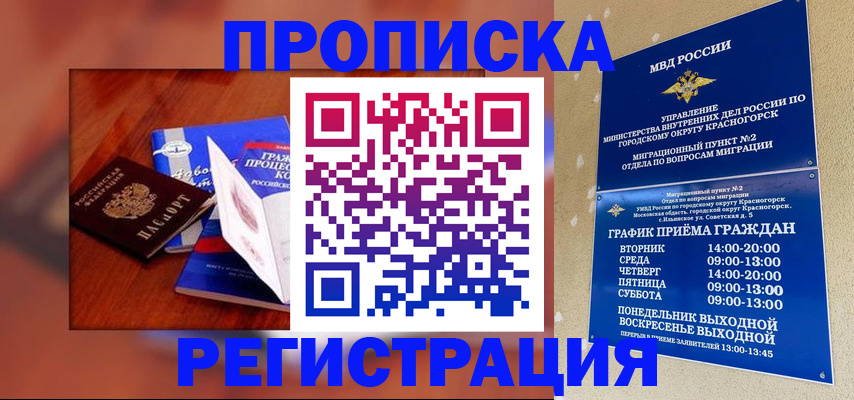 временная регистрация для школы в Шадринске